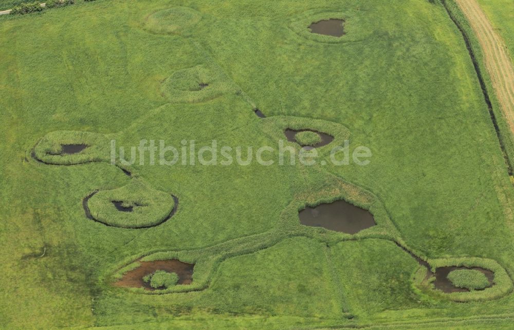 Luftbild Bad Frankenhausen/Kyffhäuser - Felder bei Bad Frankenhausen im Bundesland Thüringen