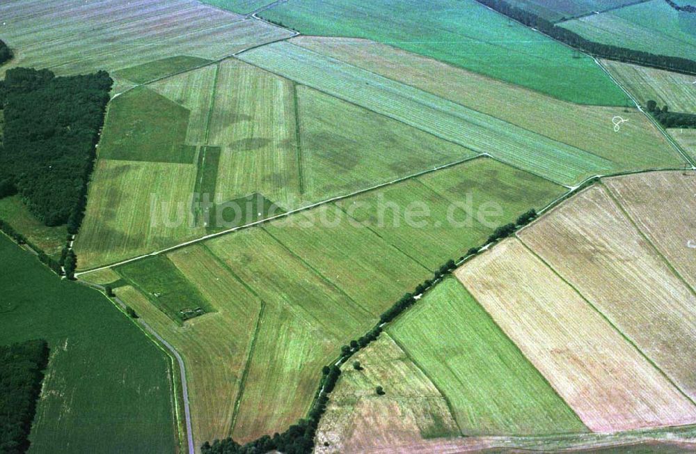 Luftbild Mahlow / Brandenburg - Felder bei Mahlow in Brandenburg