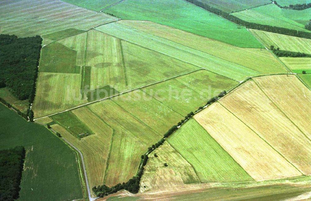 Luftaufnahme Mahlow / Brandenburg - Felder bei Mahlow in Brandenburg