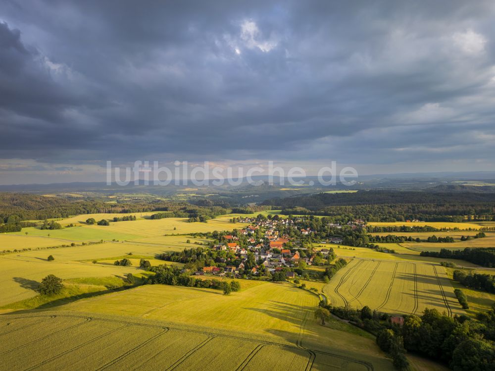 Rathewalde von oben - Felder bei Rathewalde im Bundesland Sachsen