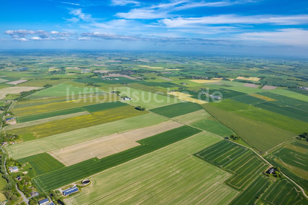 Luftbild Rodenäs - Felder und Äcker in Rodenäs im Bundesland Schleswig-Holstein, Deutschland