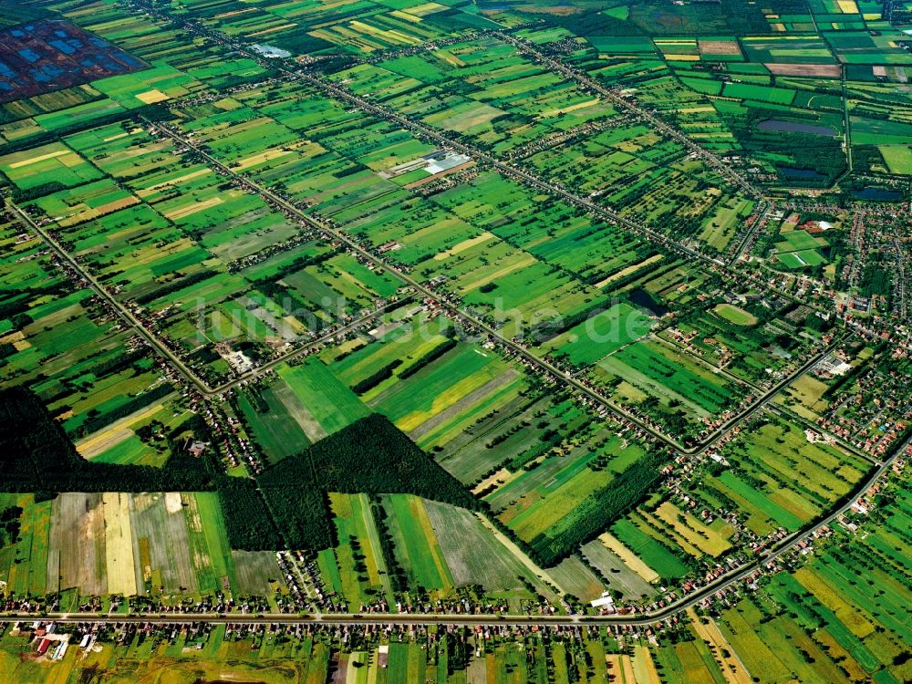 Papenburg von oben - Felder und Fehnkultur in Papenburg im Bundesland Niedersachsen