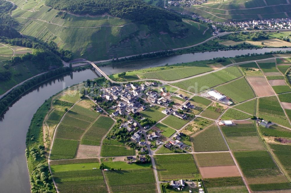 Thörnich aus der Vogelperspektive: Felder und die Gemeinde Thörnich im Bundesland Rheinland-Pfalz