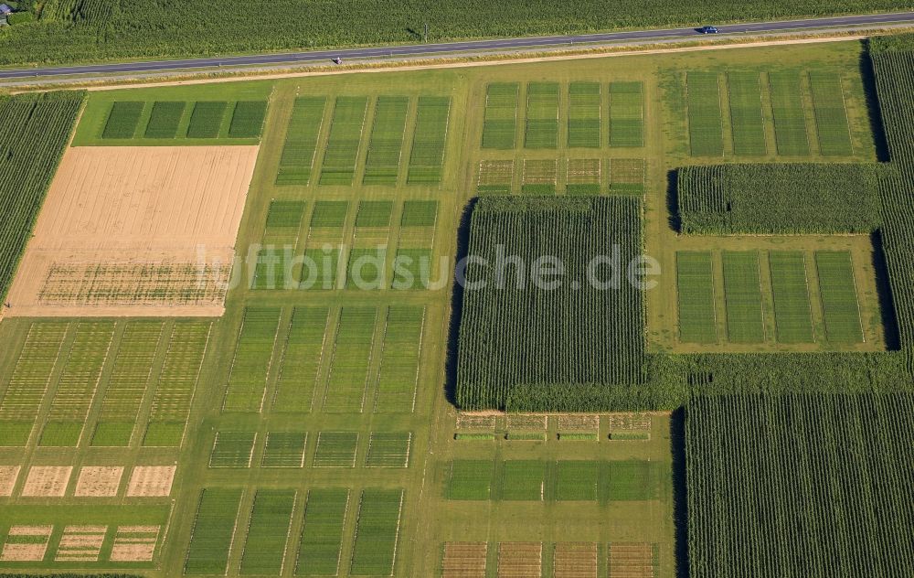 Kleve aus der Vogelperspektive: Felder am Klever Ring in Kleve in Nordrhein-Westfalen