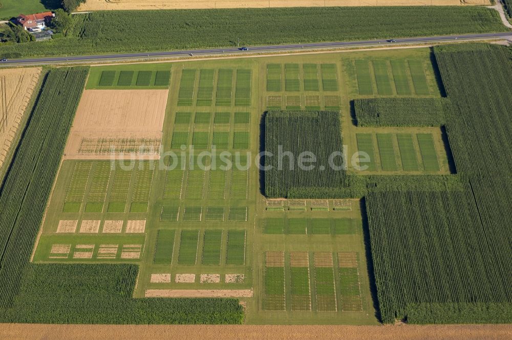 Luftbild Kleve - Felder am Klever Ring in Kleve in Nordrhein-Westfalen