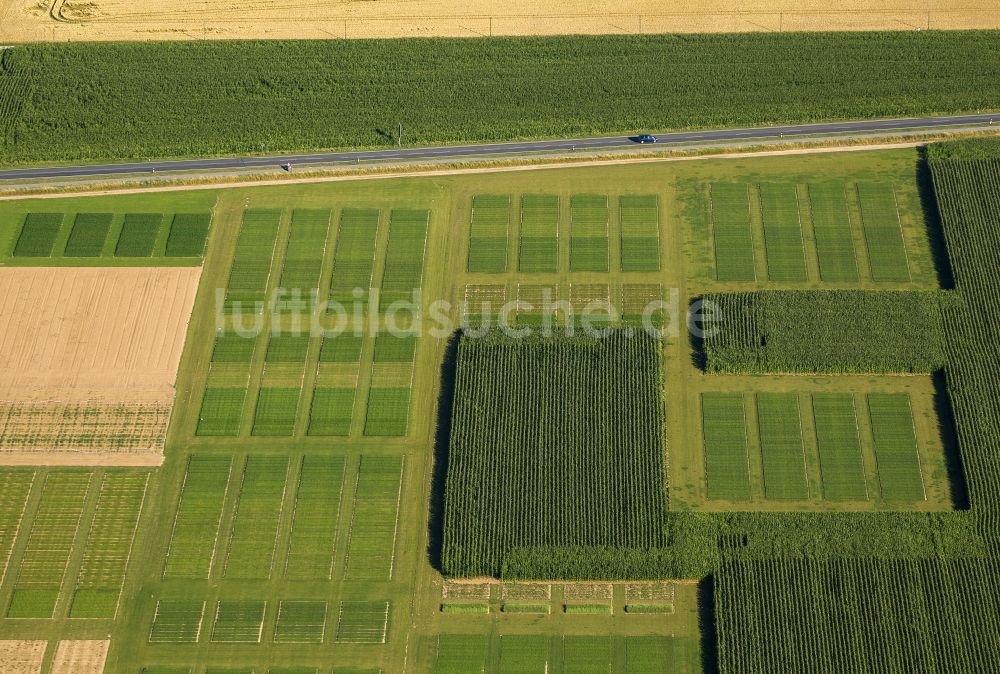 Luftaufnahme Kleve - Felder am Klever Ring in Kleve in Nordrhein-Westfalen