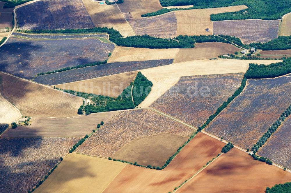 Luftaufnahme Puimoisson - Felder einer Lavendel-Plantage auf einem Feld in Puimoisson in Provence-Alpes-Cote d'Azur, Frankreich