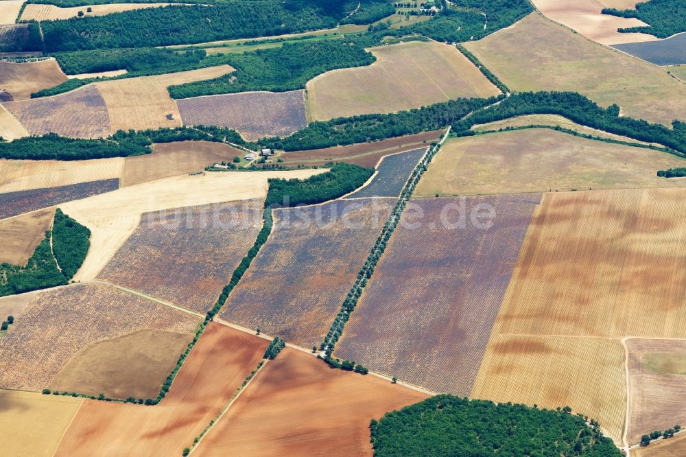 Puimoisson von oben - Felder einer Lavendel-Plantage auf einem Feld in Puimoisson in Provence-Alpes-Cote d'Azur, Frankreich