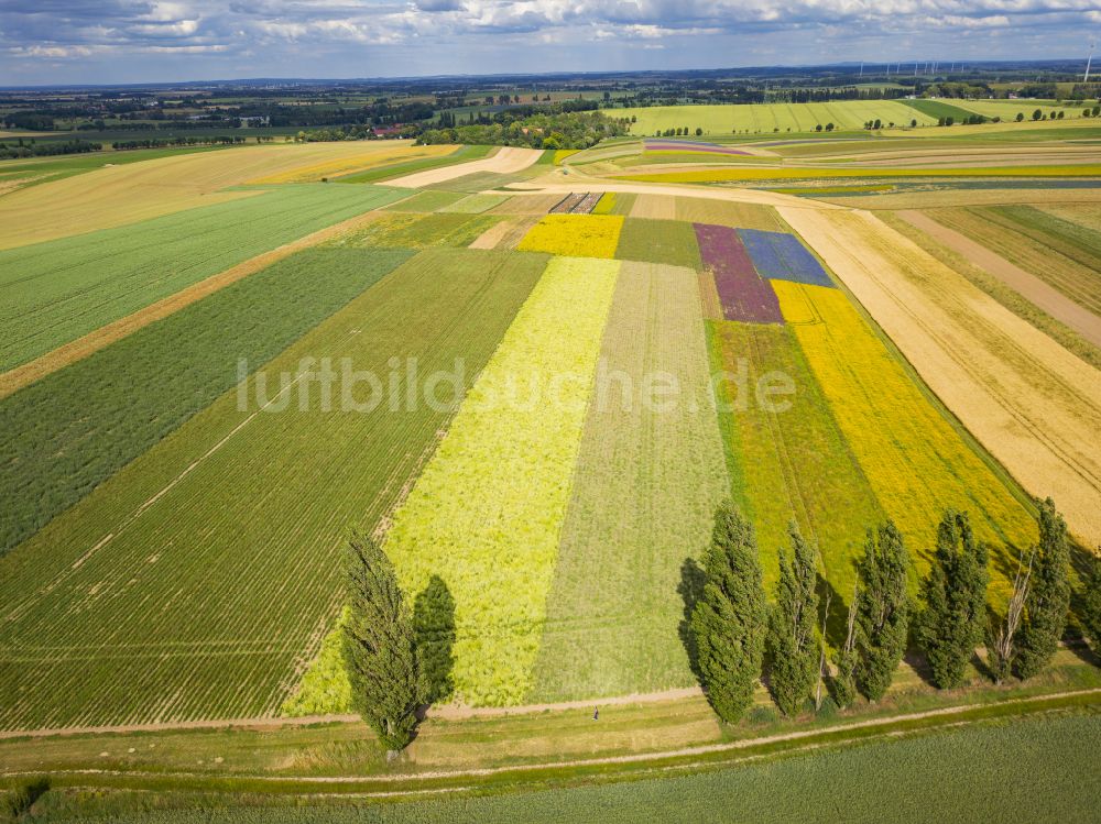 Lommatzsch aus der Vogelperspektive: Felder in Lommatzsch im Bundesland Sachsen, Deutschland