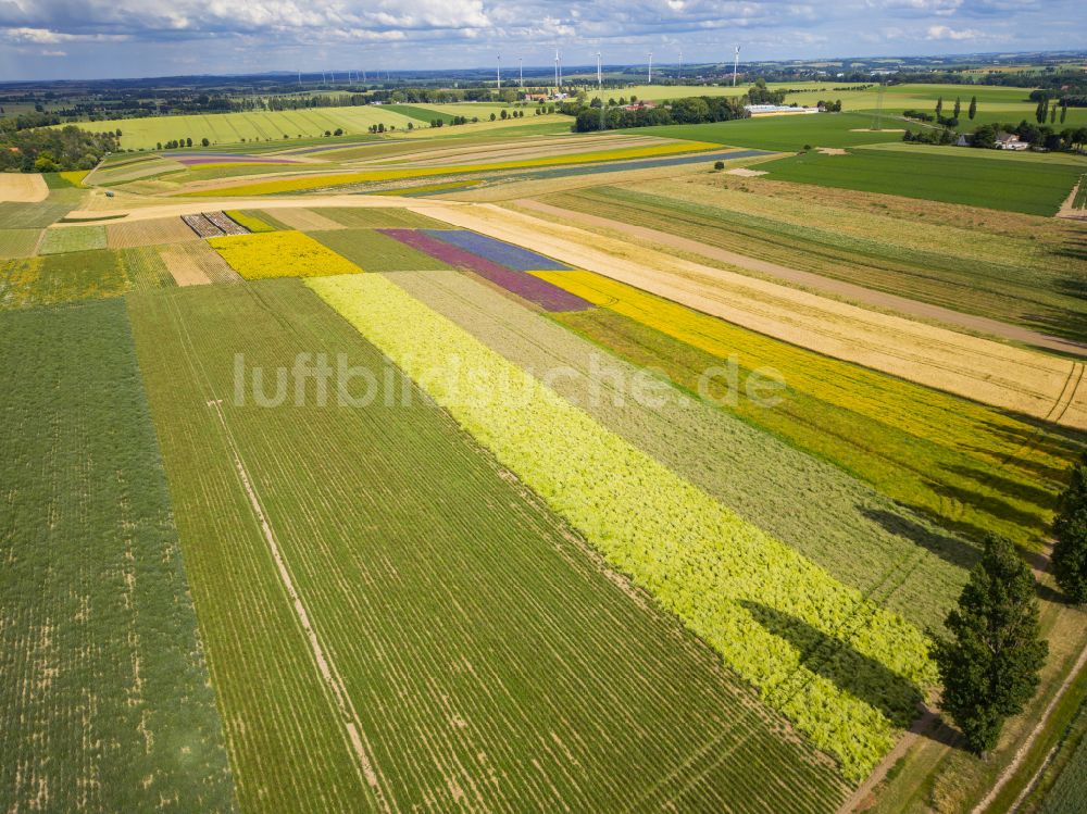 Luftbild Lommatzsch - Felder in Lommatzsch im Bundesland Sachsen, Deutschland