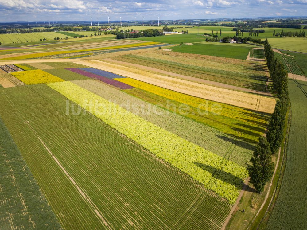 Luftaufnahme Lommatzsch - Felder in Lommatzsch im Bundesland Sachsen, Deutschland