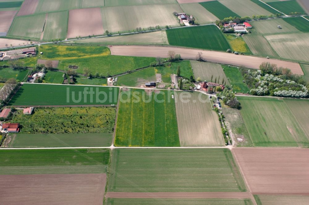 Luftbild Köngernheim - Felder im Ortsgebiet von Köngernheim im Bundesland Rheinland-Pfalz