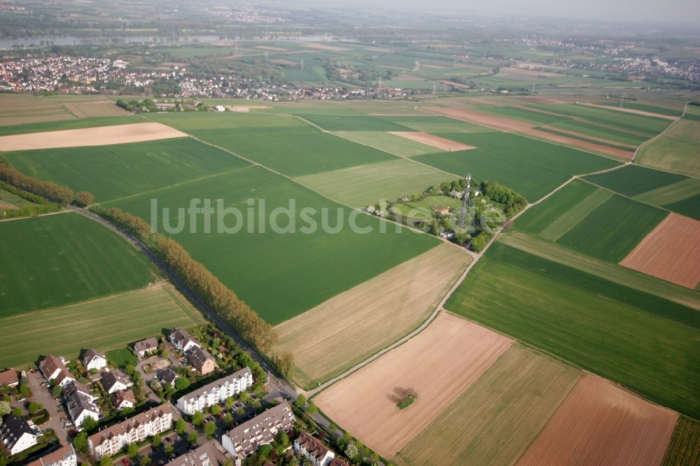 Luftbild Mainz - Felder im Osten des Stadtteils Hechtsheim im Bundesland Rheinland-Pfalz