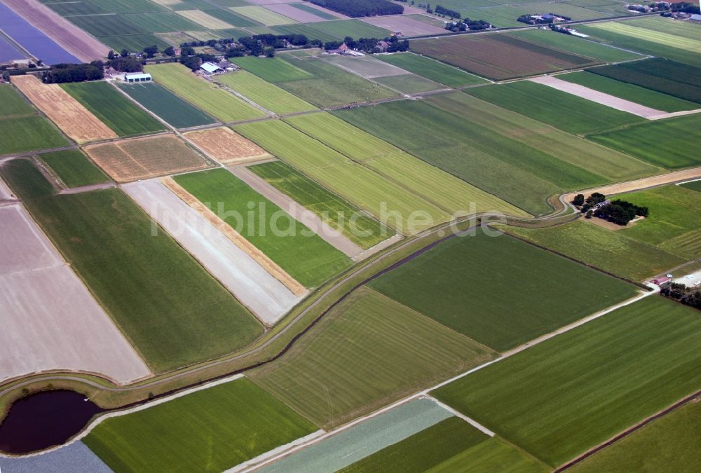 Schagen von oben - Felder von Schagen in den Niederlanden