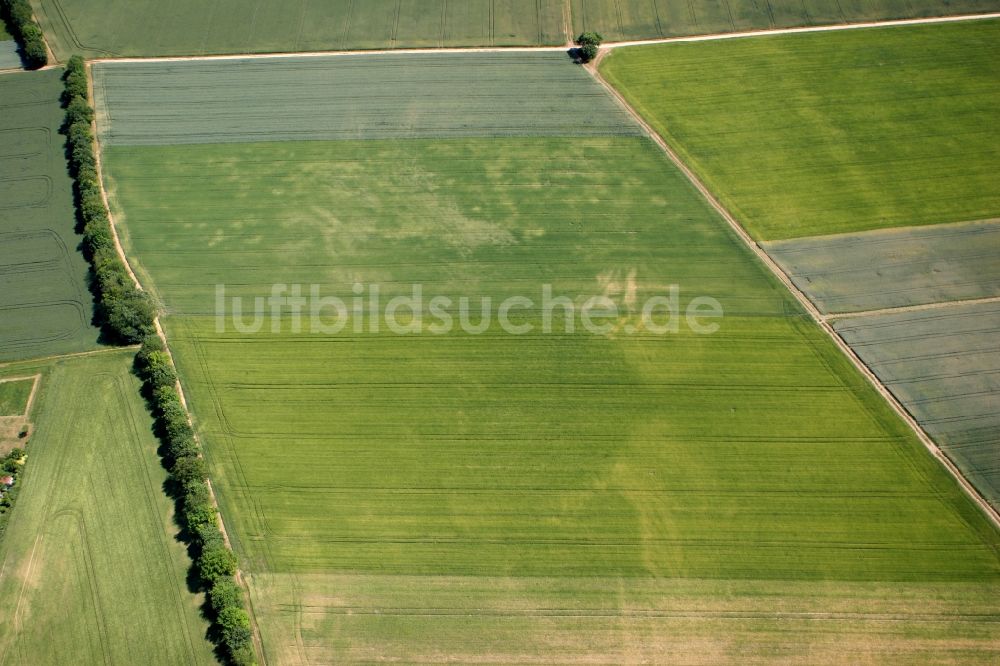 Luftbild Selzen - Felder in Selzen im Bundesland Rheinland-Pfalz