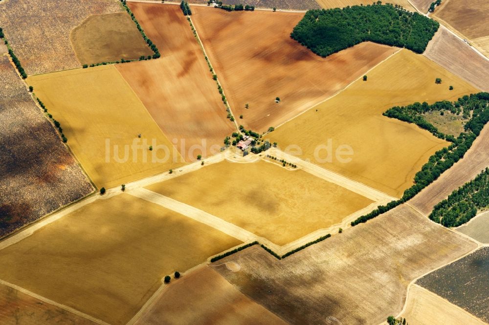 Puimoisson aus der Vogelperspektive: Felder einer Sonnenblumen-Plantage in Puimoisson in Provence-Alpes-Cote d'Azur, Frankreich