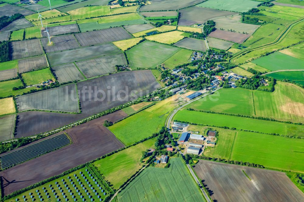 Sprakebüll von oben - Felder in Sprakebüll im Bundesland Schleswig-Holstein, Deutschland