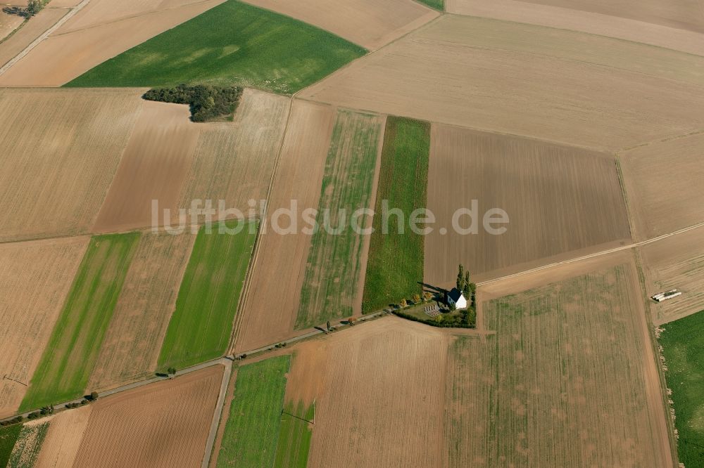 Naunheim aus der Vogelperspektive: Feldkapelle Muenstermaifeld bei Naunheim im Bundesland Rheinland-Pfalz