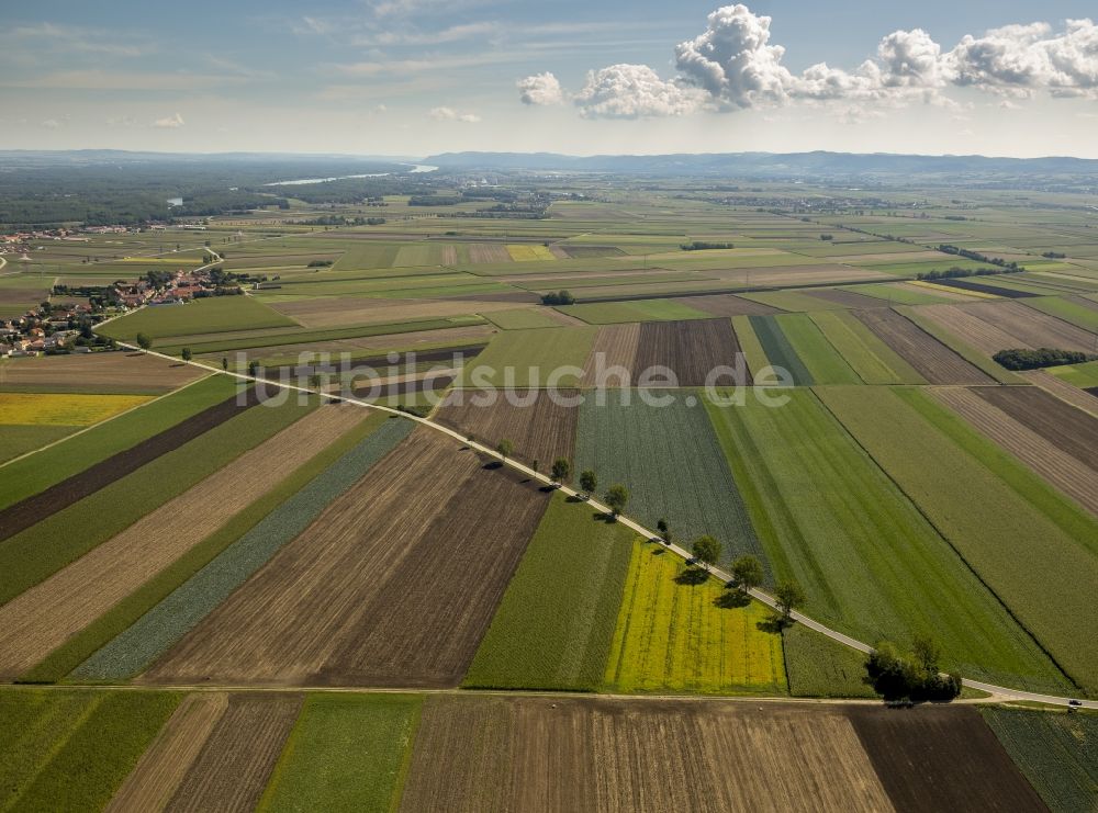 Neusiedl von oben - Feldlandschaft bei Neusiedl im Bundesland Niederösterreich in Österreich