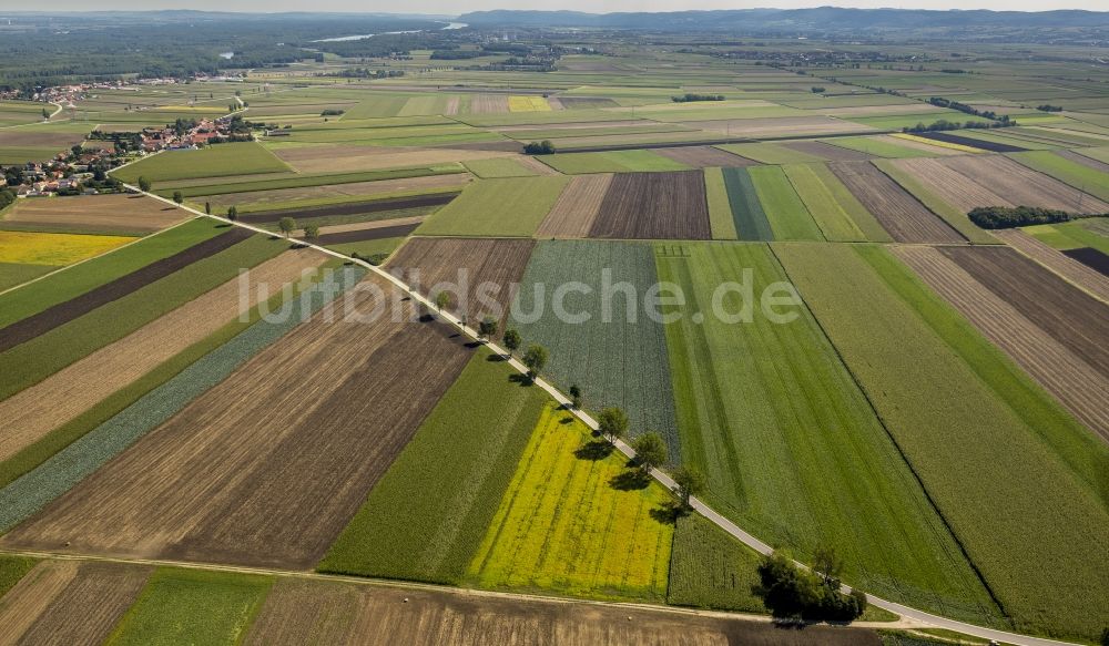 Neusiedl aus der Vogelperspektive: Feldlandschaft bei Neusiedl im Bundesland Niederösterreich in Österreich