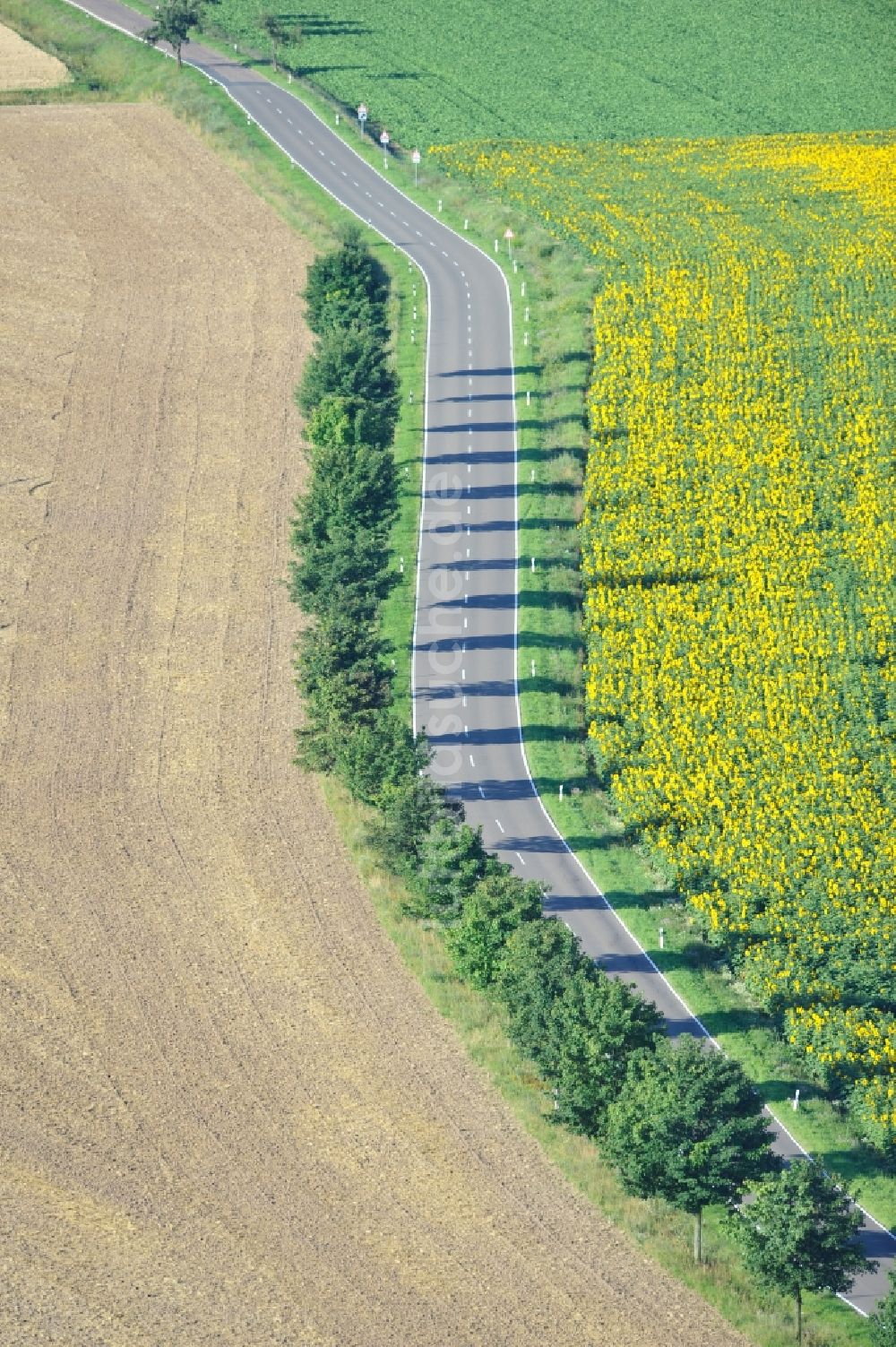 Hirschroda von oben - Feldlandschaft mit Sonnenblumenfeld bei Hirschroda im Bundesland Sachsen-Anhalt.