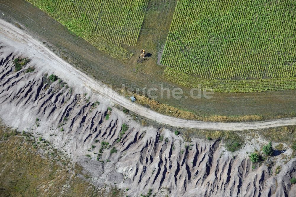 Luftaufnahme Grünewalde - Feldrand an der Abraumhalde der Braunkohle- Tagebau - Bergbaufolgelandschaft Grünhaus bei Grünwalde im Bundesland Brandenburg