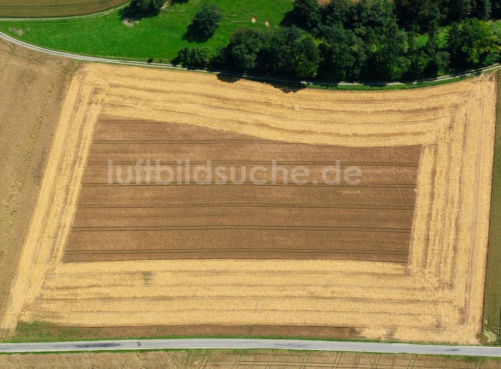 Luftaufnahme Angermünde - Feldstrukturen bei Angermünde im Bundesland Brandenburg