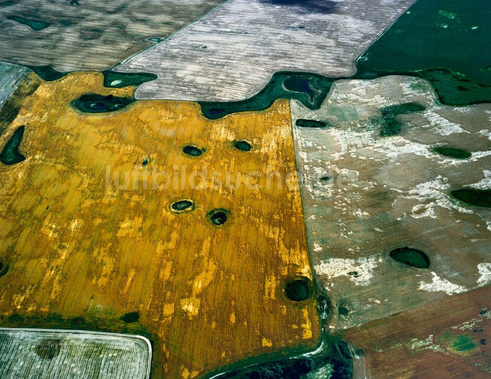 Luftaufnahme Angermünde - Feldstrukturen bei Angermünde im Bundesland Brandenburg