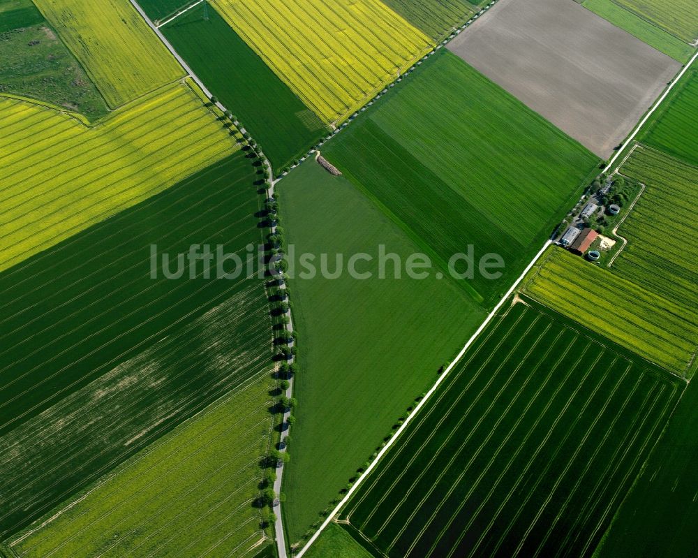 Luftaufnahme Emmerich am Rhein - Feldstrukturen bei Emmerich am Rhein im Bundesland Nordrhein-Westfalen