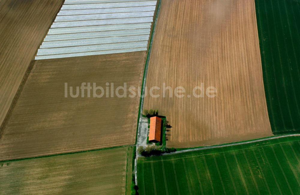 Wewelsfleth OT Grosswisch von oben - Feldstrukturen bei Grosswisch in Wewelsfleth im Bundesland Schleswig-Holstein