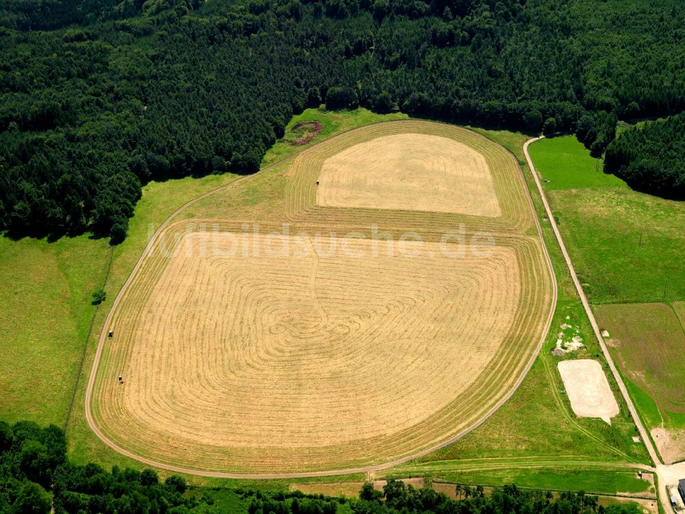 Luftaufnahme Merzalben OT Kufenberg - Feldstrukturen bei Kufenberg in Merzalben im Bundesland Rheinland-Pfalz