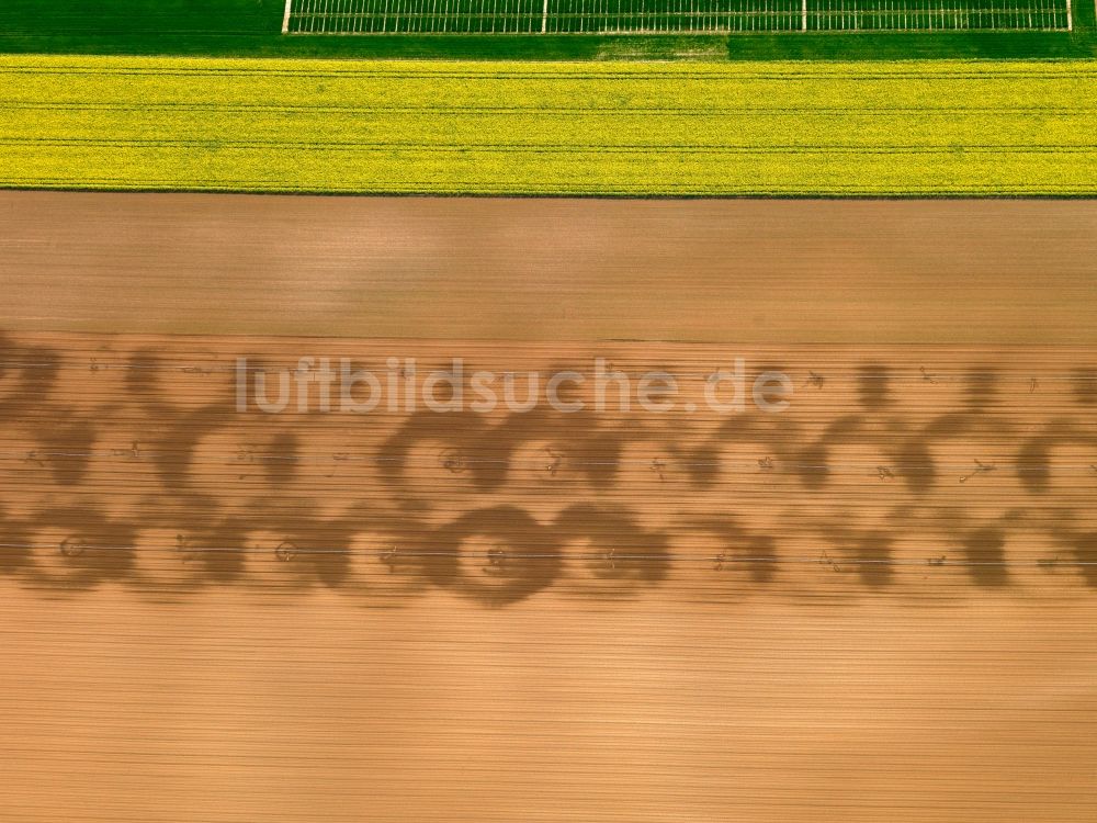 Bergtheim OT Opferbaum aus der Vogelperspektive: Feldstrukturen bei Opferbaum in Bergtheim im Bundesland Bayern