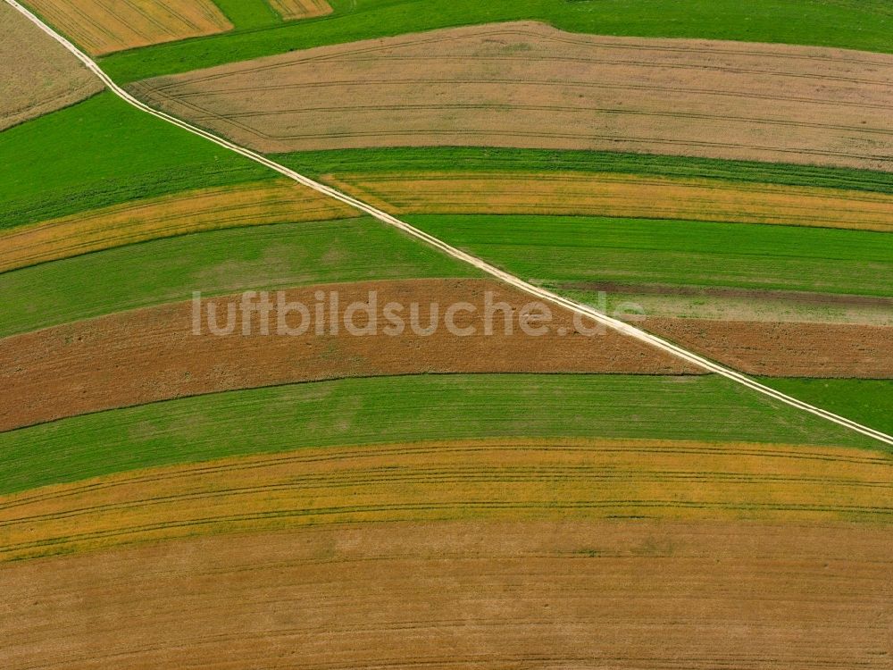 Sigmaringen von oben - Feldstrukturen bei Sigmaringen im Bundesland Baden-Württemberg