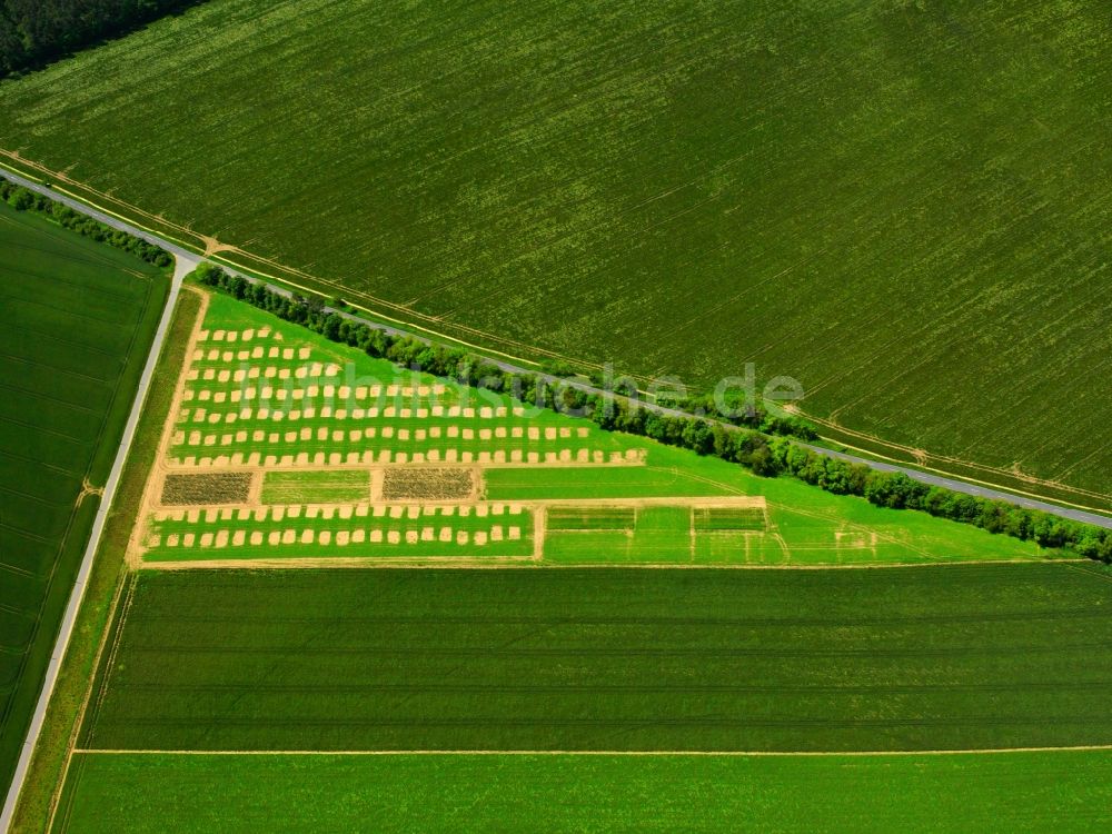 Waren (Müritz) von oben - Feldstrukturen bei waren (Müritz) im Bundesland Mecklenburg-Vorpommern