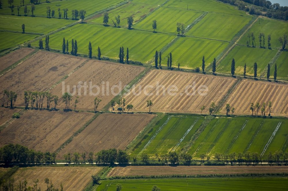 Luftaufnahme Arles - Feldstrukturen- Landschaft bei Arles in der Provence-Alpes-Cote d'Azur Frankreich