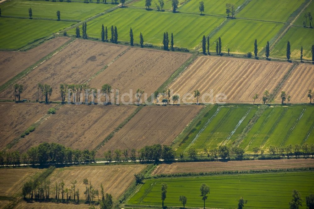 Arles von oben - Feldstrukturen- Landschaft bei Arles in der Provence-Alpes-Cote d'Azur Frankreich