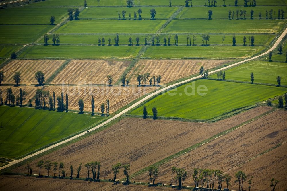 Luftaufnahme Arles - Feldstrukturen- Landschaft bei Arles in der Provence-Alpes-Cote d'Azur Frankreich