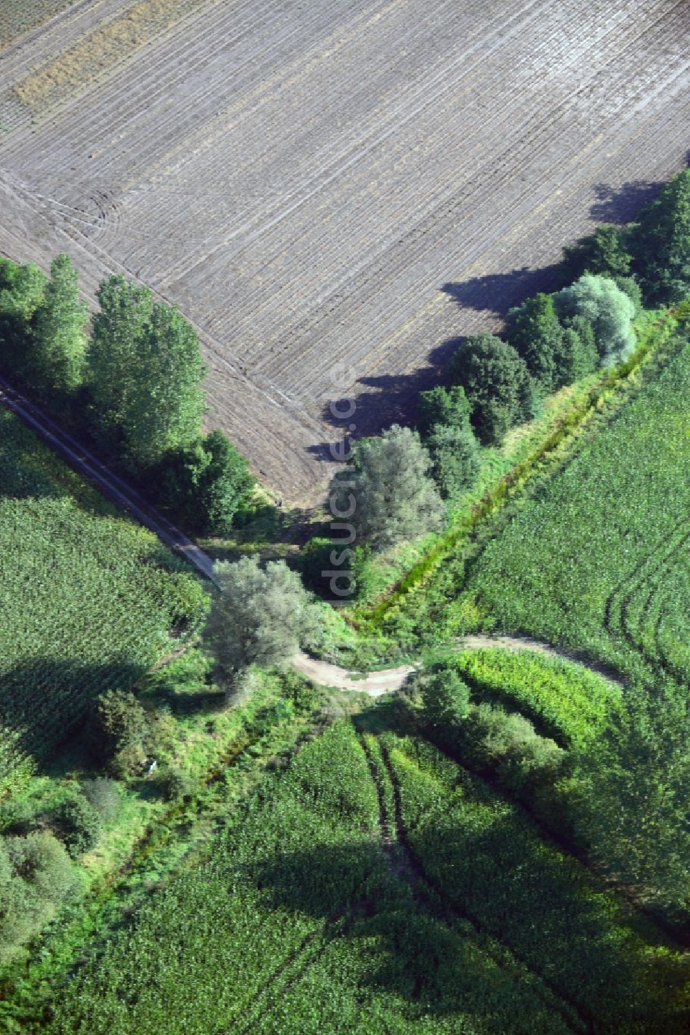 Lübtheen von oben - Feldstrukturen- Landschaft bei Lübtheen im Bundesland Mecklenburg-Vorpommern