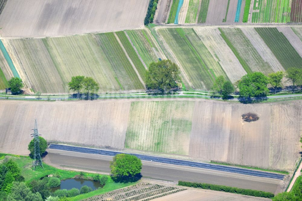 Luftaufnahme Ellerbeck - Feldstrukturen in lokaler Landwirtschaft bei Ellerbeck im Bundesland Schleswig-Holstein