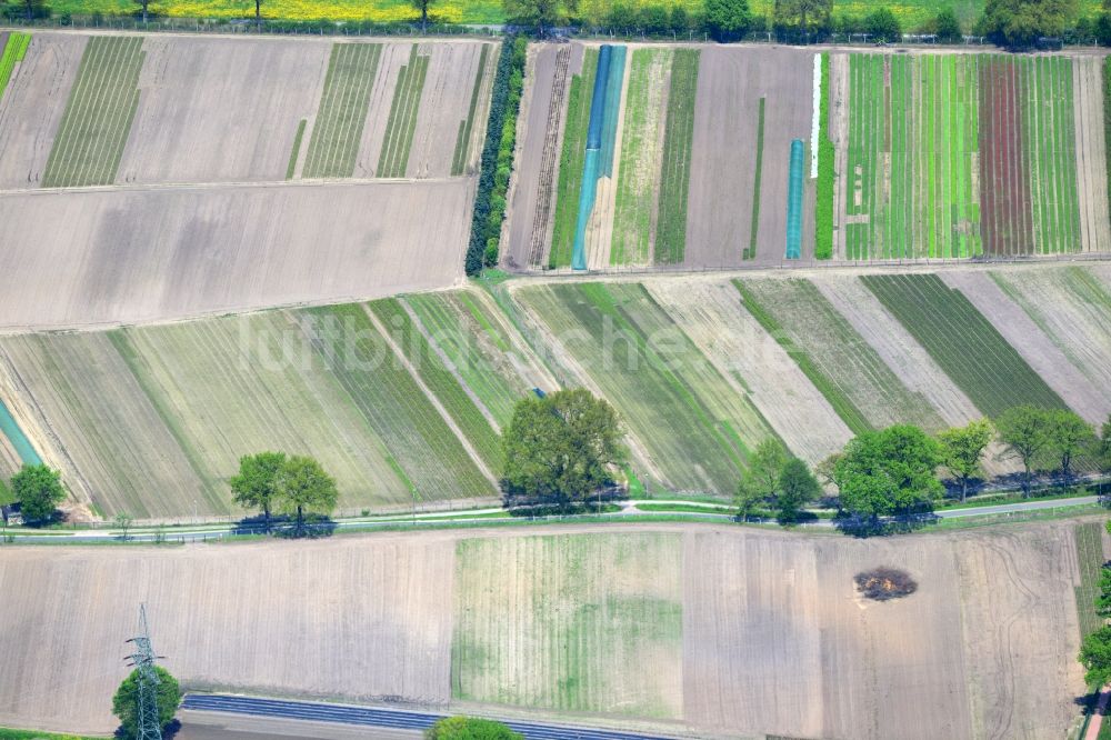 Ellerbeck aus der Vogelperspektive: Feldstrukturen in lokaler Landwirtschaft bei Ellerbeck im Bundesland Schleswig-Holstein