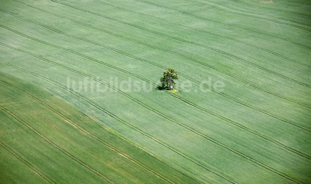 Luftbild Röbel - Feldstrukturen in Röbel im Bundesland Mecklenburg-Vorpommern