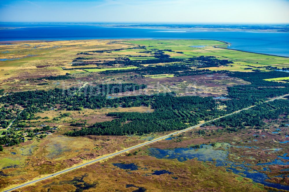 Luftaufnahme Röm - Ferienhaus Anlage Toftum Wald in Röm in Region Syddanmark, Dänemark