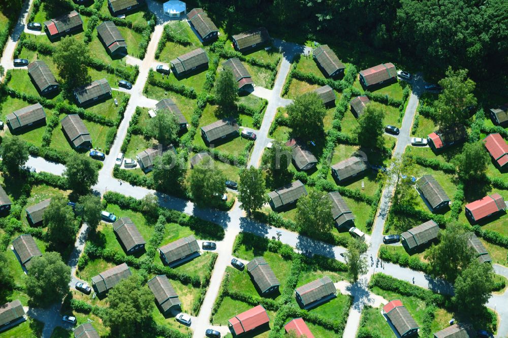 Haren (Ems) von oben - Ferienzentrum Schloss Dankern am Dankernsee in Haren (Ems) im Bundesland Niedersachsen, Deutschland