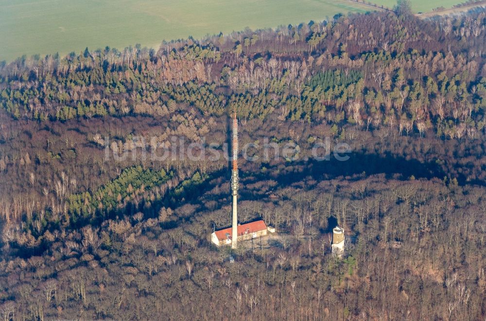 Luftbild Wermsdorf - Fernmeldeturm und Fernsehturm in Wermsdorf im Bundesland Sachsen, Deutschland