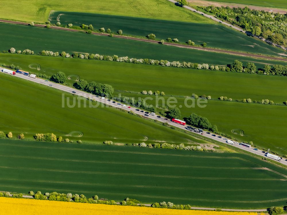 Großenbrode aus der Vogelperspektive: Fernstraßenverlauf der Bundesstraße B207 in Großenbrode im Bundesland Schleswig-Holstein, Deutschland