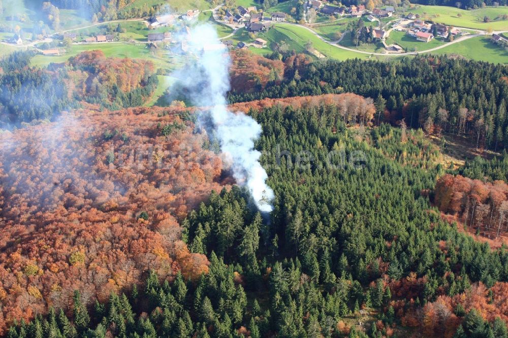 Luftbild Steinen - Feuer im Wald bei Steinen-Endenburg im Bundesland Baden-Württemberg