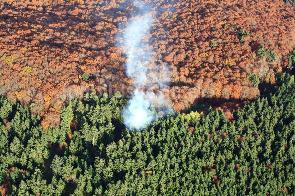 Luftaufnahme Steinen - Feuer im Wald bei Steinen-Endenburg im Bundesland Baden-Württemberg