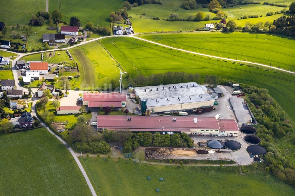 Luftbild Brenscheid - Firmengelände der der Baumeister Frischei GmbH & Co. KG in Brenscheid im Bundesland Nordrhein-Westfalen, Deutschland