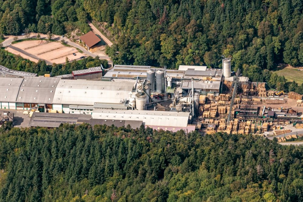 Luftaufnahme Wagensteig - Firmengelände der Dold Holzwerke GmbH in Wagensteig im Bundesland Baden-Württemberg, Deutschland