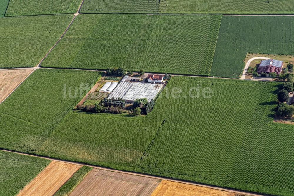 Riegel am Kaiserstuhl von oben - Firmengelände der Gärtnerei Stefan Niemann in Riegel am Kaiserstuhl im Bundesland Baden-Württemberg, Deutschland